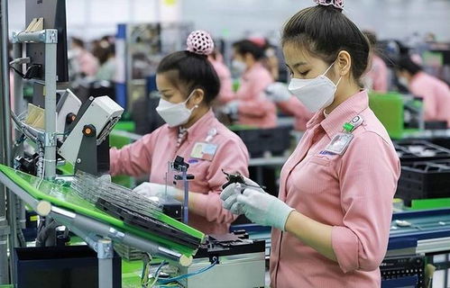 訂單驟減、裁員風暴與轉型陣痛 越南“世界工廠”夢的軟件業挑戰
