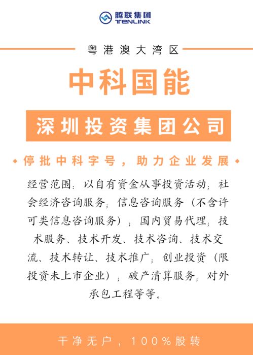 中科國能 深圳投資集團搶灘粵港澳大灣區，信息服務助力區域經濟新飛躍